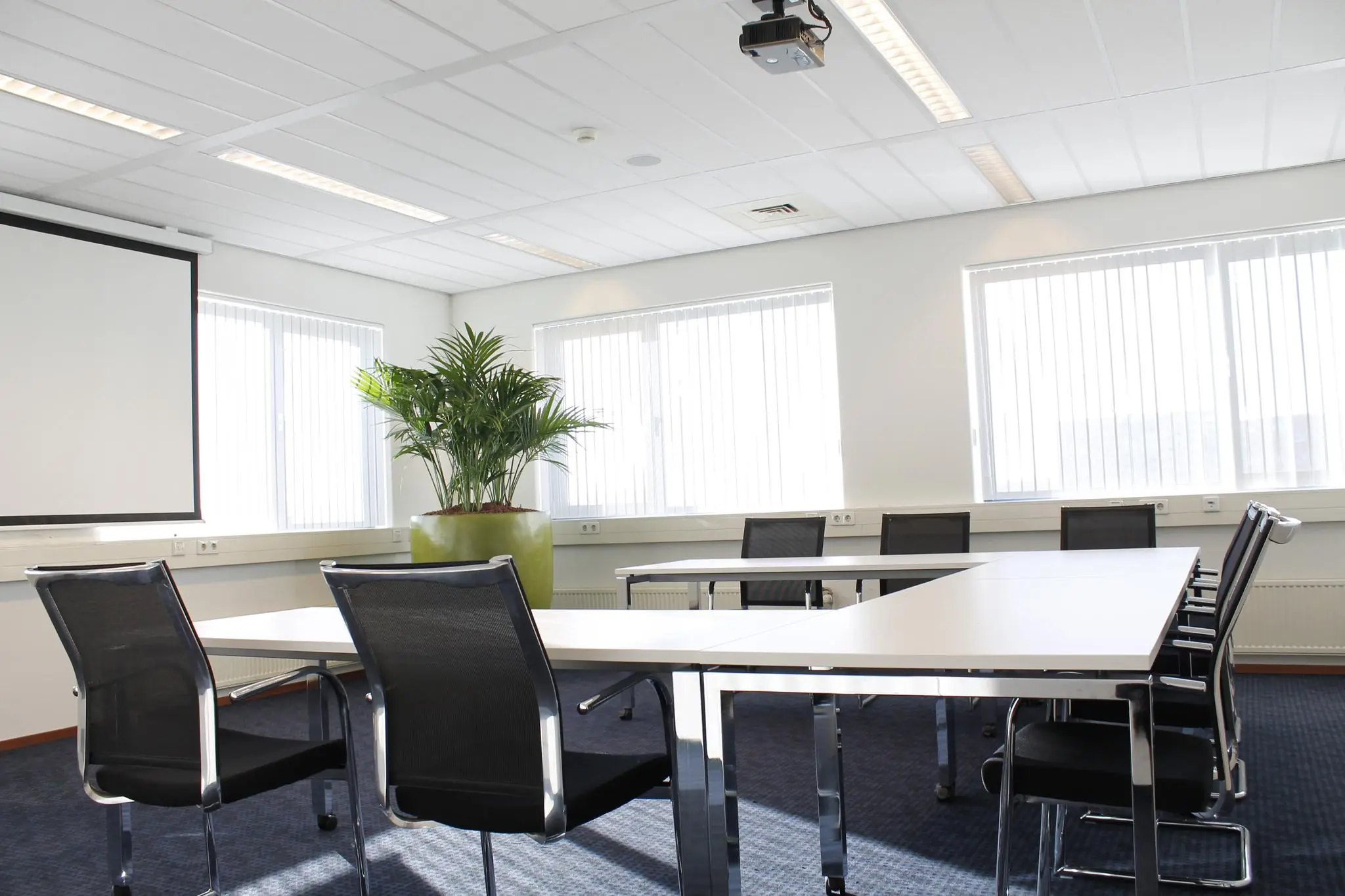 Vergaderruimte aan de Laan van ’s-Gravenmade met U-vormige opstelling, zwarte stoelen, een groot projectiescherm en een grote kamerplant bij het raam.